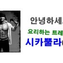 폴렌뷰티
