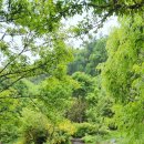 옛골가든 이미지