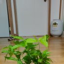 주식회사 바른팜 이미지