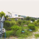 강아지 보호센터 이미지