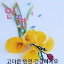 김*태