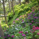 내죽도공원 이미지