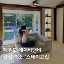 스테이 고집 이미지