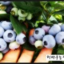 구술농장 이미지