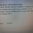 국수나무꽃을보고와서 이미지