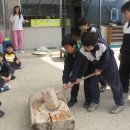 해림초교 이미지