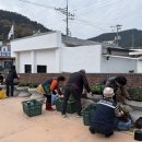 도산면사무소 이미지