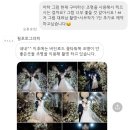 필-보테가 - 순천시 | 필-보테가