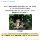 주식회사까치둥지 | [더블유워터(주)] 알.쓸.물.잡 : "비가 오면 새둥지는 어떻게 될까?"