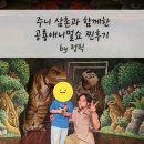 주니삼촌 공룡애니멀쇼 시즌2 | 공룡애니멀쇼 : 8살 형아도 재밌게 즐긴 공연! 대구보건대 인당아트홀 리얼 후기 (좌석 시야&amp;방석 정보)