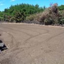 시흥리-2 이미지