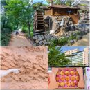 수목원할인마트 이미지