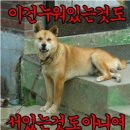 신뽀록의 고향가는길 Day-2 이미지