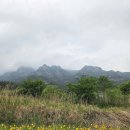 월곡리 | ［전라남도 기도터］영암 월곡리 느티나무 선황과 마티고개 선황 기도