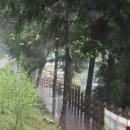 황룡택시 이미지