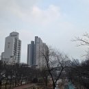 성내천공원 | 서울 송파구 오금동 성내천 나들이 산책 다녀왔습니다.