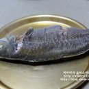 제주도생선 이미지