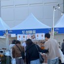 보보베이크 | 2025 청주 빵축제 베이커리페스타 후기 웨이팅 쫀득쿠키 두바이초콜릿