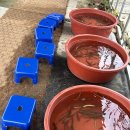 나들농장 | [김포] 농촌체험 치유농장뒤란 감자캐기 솔직 후기 꿀팁 대방출