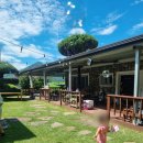 청도강변돌고래펜션 이미지