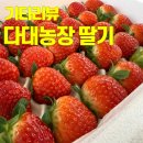 다대농장 이미지