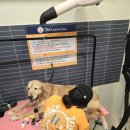 올리스24 두류공원점 이미지