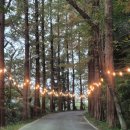 송산목장 이미지