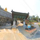 창원 금룡사 목조보살입상 | 금룡사(金龍寺)/경남 창원시 마산합포구