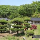 호암민박 이미지