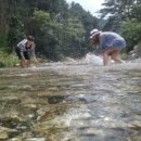 축령산아침 이미지