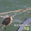 사강식당 이미지