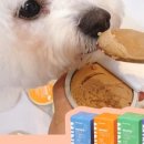 댕댕이맘마 이미지