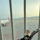 아카노래타운 | 33개월 아기랑 태국 치앙마이 E01-2월 치앙마이 날씨/멜리아호텔/픽어보울/왓프라싱/블루누들/Love’s nail