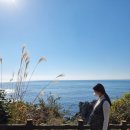 소노캄 제주 이스트타워 이미지