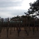 울산시민공원 네이버블로그