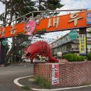 해담회초밥