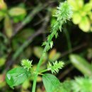 진중2리 이미지