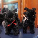 강원흑염소 | 기력 회복 몸보신이 필요할 때 "춘천 국내산 흑염소전문점" 흑염소 전골 내돈내먹 후기