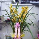 상신상사 이미지