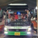 푸른솔관광 이미지