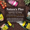네이처스샵 이미지