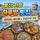 하루방횟집 | 기장 하루방 횟집 리뷰｜연화리 오션뷰 횟집, 물회·모둠회 맛집 추천