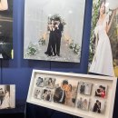 (주)온누리여행사 | 🤍W1. 대구에서 결혼 준비 | 웨딩 박람회 계약 후기 | VS 워크인 좋은 점과 아쉬운 점 비교 | 스튜디오...