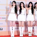 드림피프티
