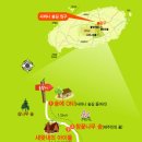 남조로 사려니숲길입구 Daum카페