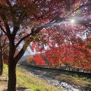 문경새재 .문경사과. 이미지