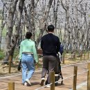 웅동마을 이미지