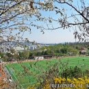 초안산스포츠타운 이미지