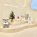 마이온펫 (MY OWN PET) 이미지