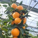 큰말하우스 이미지